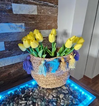 Vrnjacki Lux Free Parking Garage アパート