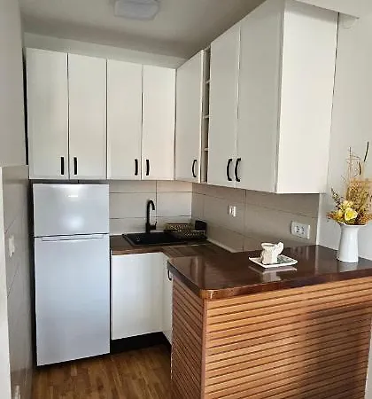 Lejlighed Vrnjacki Lux Free Parking Garage