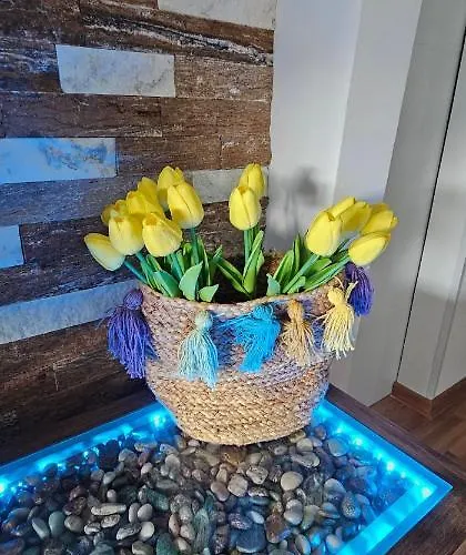 Vrnjacki Lux Free Parking Garage Apartament